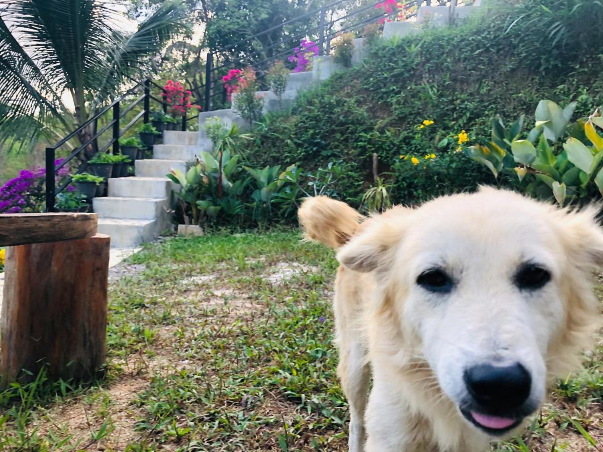 Baanhatsompaen homestay Ranong Buitenkant foto