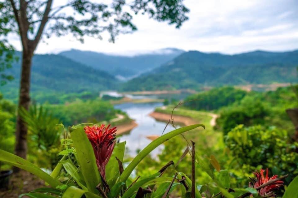 Baanhatsompaen homestay Ranong Buitenkant foto